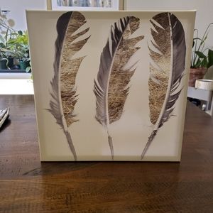 15"x15"x2.5" Canvas Feathers artwork